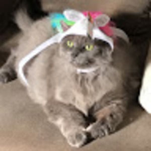 Meet your Posher, Catherine